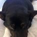Dean Imhoff - Facebook