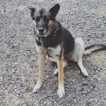 Michael dean inman - @michaeldeaninman - Instagram