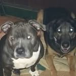 dean iversen - @diversen62 - Instagram