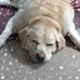 Dean Jackman - Facebook