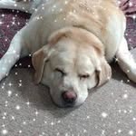 Dean Jackman - @dinosailor48 - Instagram