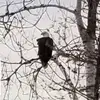 Dean Jacques - @dean.jacques - TikTok