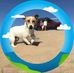 Dean Jansen - Facebook