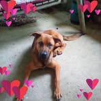 Deana Jarrell - Facebook