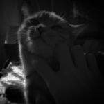 𝓩𝓪𝓮𝓵 - @dean_javier_kennedy_vincent.13 - Instagram