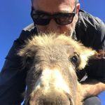 Jeffrey Dean Morgan - @jeffrey_dean_morgan_fan_page1 - Instagram