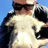 Jeffrey Dean Morgan - @jeffdeanmorgan55 - TikTok
