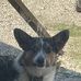 Jerry Dean - Facebook