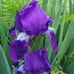 Dean Johansen - Facebook
