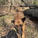 Dean Johnson - Facebook