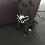 Dean Johnston - @deanjohnston67 - Instagram