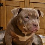 Dean Johnston - @dean.johnston.777 - Instagram