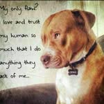 Annie Joslin - @deanjoslin2007 - Instagram