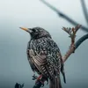 vernadeanjunell - @vernadeanjunell - TikTok