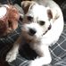 Dean Katz - Facebook