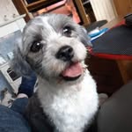 Dean Keenan - @dean.keenan - Instagram
