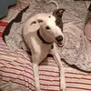 user6552243015695 - @deankeenan12 - TikTok