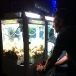 Dean Kelly - @dean_kelly - Instagram