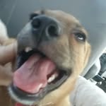 Dean Kelly - @deankelly1123 - Instagram