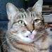 Jimmy Dean Allihandro Kellogg - Facebook