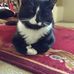 Dean Kennett - Facebook