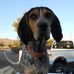 Dean Kern - Facebook