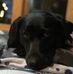 Dean Kern - Facebook