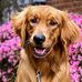 Dean Ketcham - Facebook