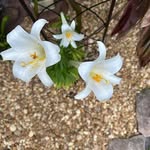 Emily Dean Keyes - @emilydeankeyes - Instagram
