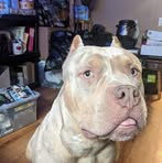 Kingston Dean - Facebook