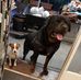Dean Knell - Facebook