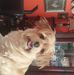 Dean Knickerbocker - Facebook