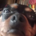Deanna Knickerbocker - @deannaknickerbocker17 - Instagram