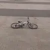 dean1koch - @dean1koch - TikTok