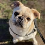 Jaden-Dean Koch - @jaden_konig - Instagram