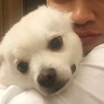 dean lay - @_deanl___ - Instagram