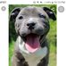 Dean Lloyd - Facebook