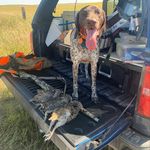 Dean Long & Rosie - @palmettohuntfish - Instagram