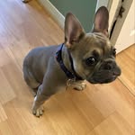 Dean Lundy - @lundy.dean - Instagram