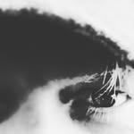 Dean MacKinnon - @dean.mackinnon.73 - Instagram