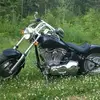 Dean Mackinnon - @dean.mackinnon - TikTok