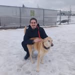 Dean - @dean.maclean2007 - Instagram