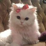 Dean Mai - @deanmai.zpt - Instagram