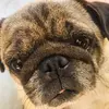 Dean.Main - @dean.loll - TikTok