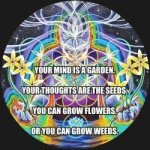 Dean Marcus - @healthwealth3 - Instagram
