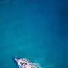 deanmarlow745 - @deanmarlow745 - TikTok