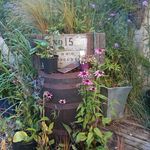 Dean McDonnell - @garden27_ - Instagram