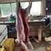 Dean Mcleod - Facebook