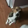 Dean Mooney - @dean.mooney24 - TikTok