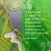 Dean Morrill - Facebook